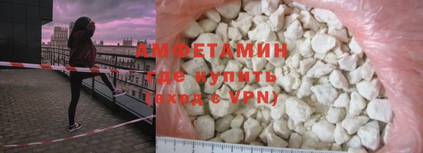 прущие грибы Михайлов