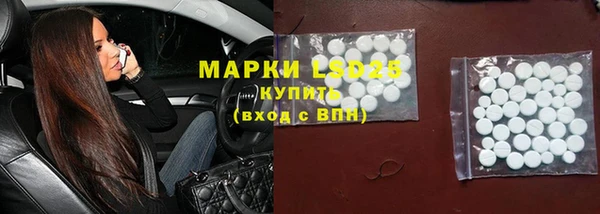 прущие грибы Михайлов