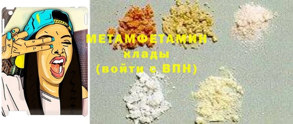 прущие грибы Михайлов