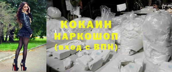прущие грибы Михайлов