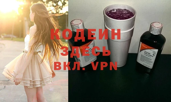 прущие грибы Михайлов